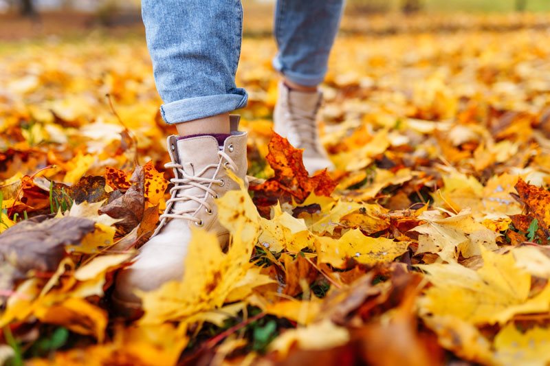 All the benefits of an Autumn walk